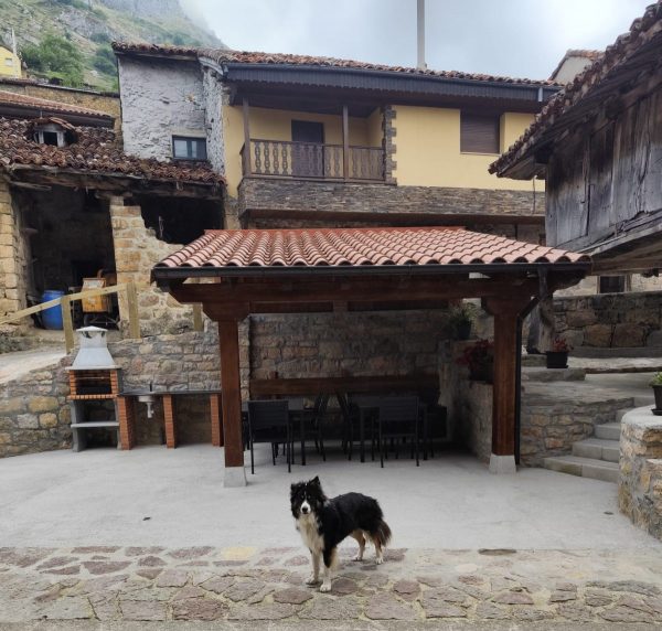 Zona exterior
